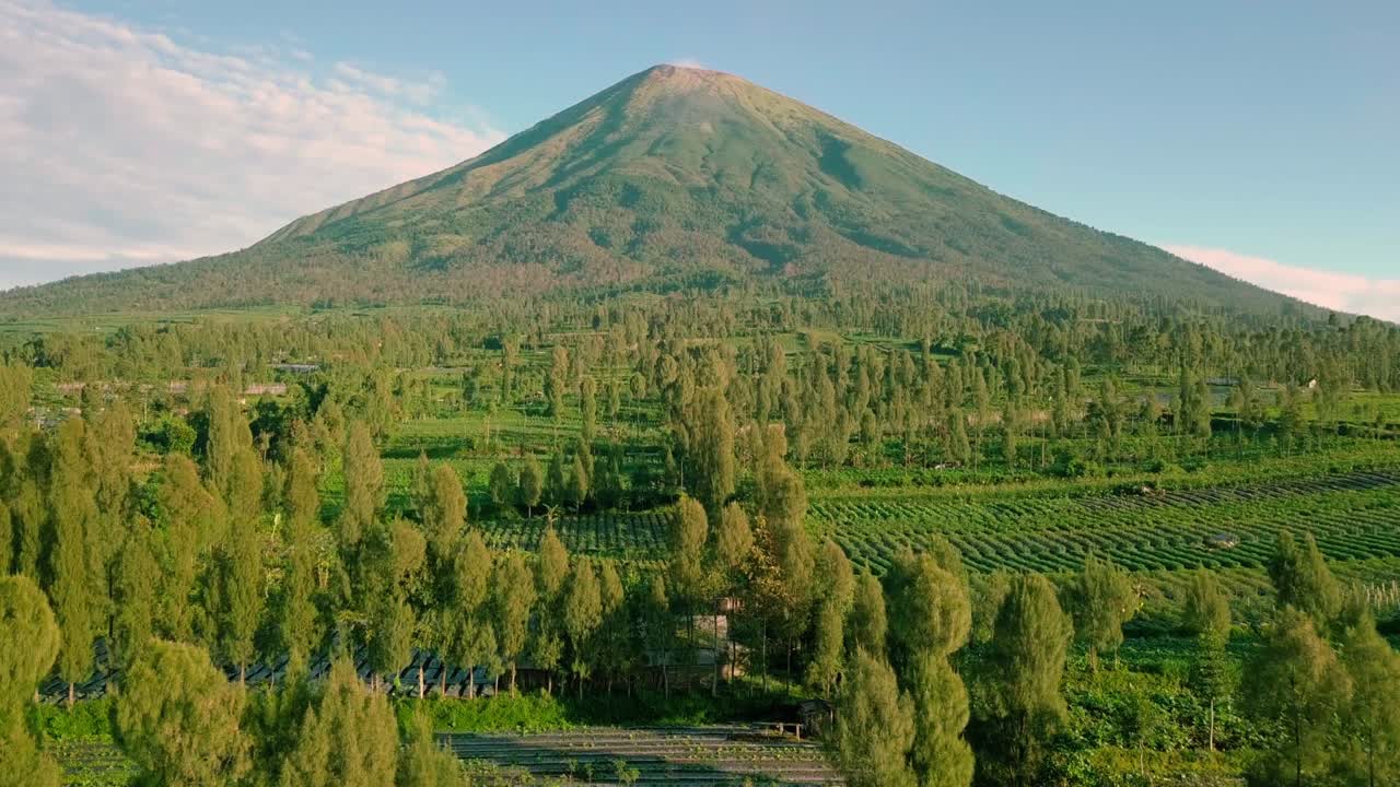 monte sindoro con vistas al campo y a las plantaciones de tabaco