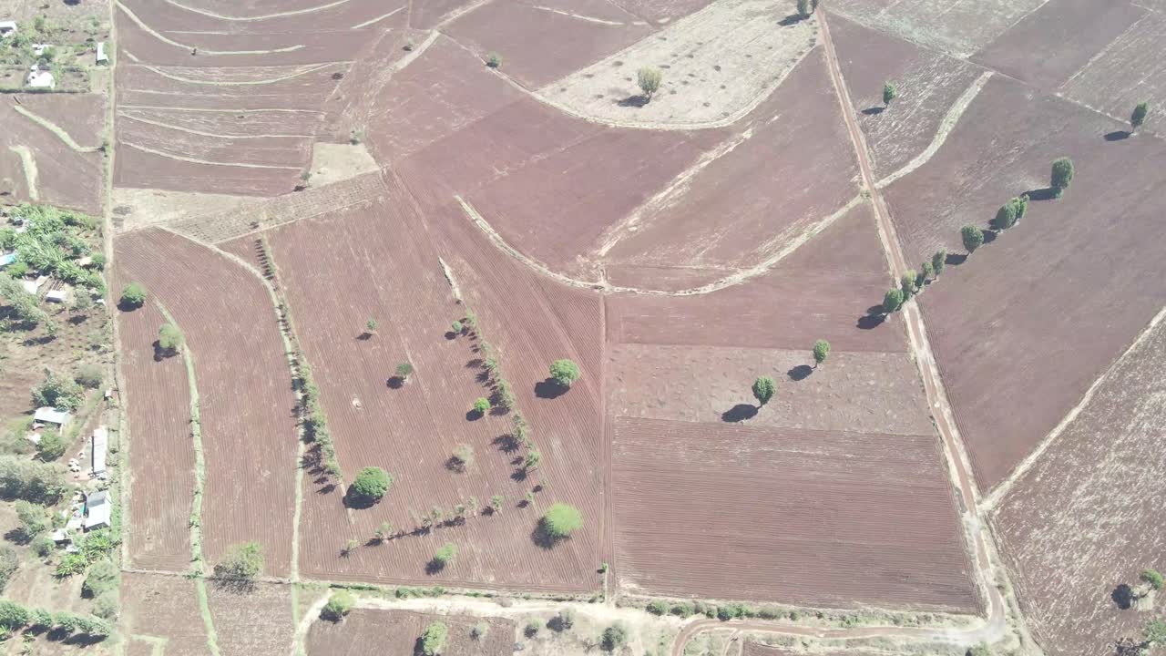 vista aérea de campos de cultivo ya cosechados cerca del pueblo de loitokitok, kenia