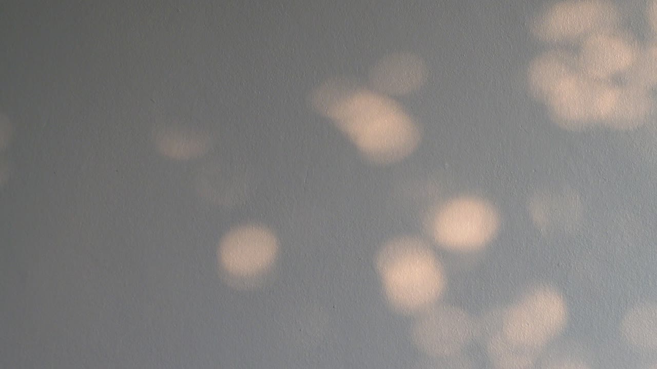 색 회색 벽에 식물과 나무 잎의 아름다운 흐릿한 그림자 가을 개념 보케의 움직임 빛의 자연 그림자 하 콘크리트 벽 배경에 저녁에 복사 공간.