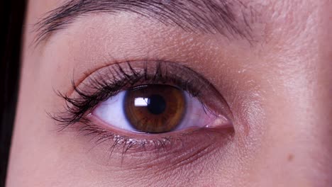 extreme close up, opening asian female brown eye in slow motion, static