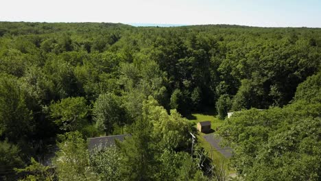 aerial view: maine's forest and coastal landscape