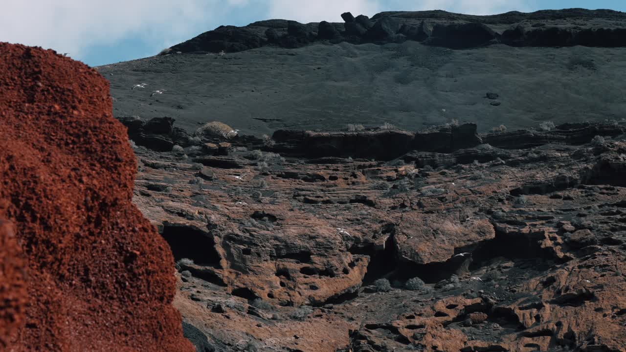 4K hidastettu otos lokeista lentämässä Charco De Los Clicosin luona.