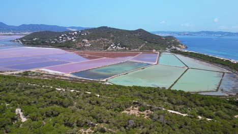 colorful salt flats of ibiza with the mediterranean vegetation in the foreground. smooth aerial view flight drone shot footage from above