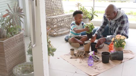 african american grandfather and grandson planting flowers on balcony, slow motion