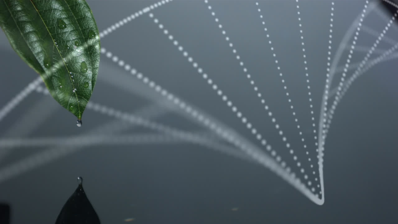 dna 구조의 디지털 구성은 잎을 통해 떨어지는 물방울에 대항하여 회전합니다.