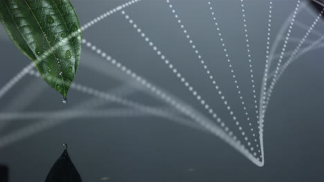 composición digital de la estructura del adn girando contra las gotas de agua que caen a través de una hoja