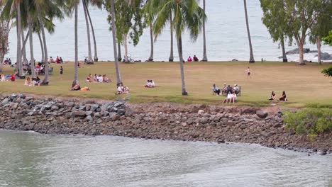 aerial view of people enjoying a riverside picnic under palm trees in port douglas, queensland. calm, serene atmosphere with gentle camera movement