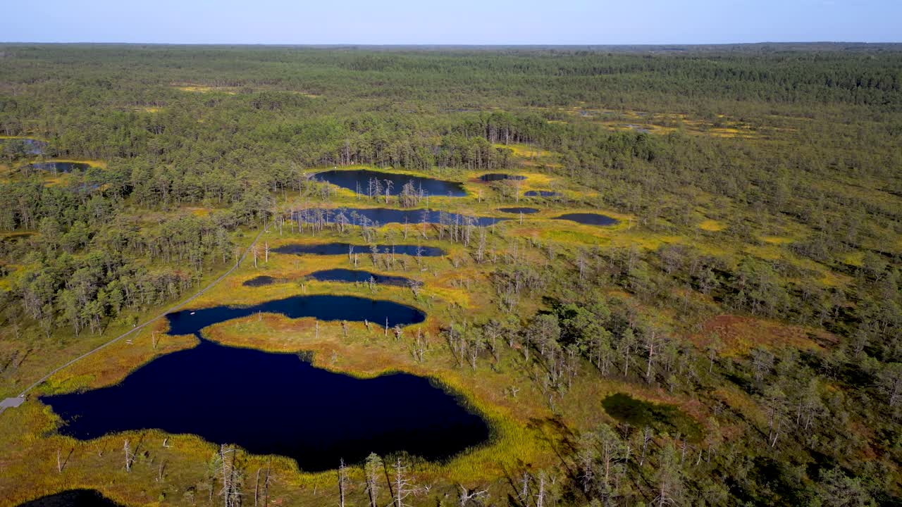 Incredible aerial view of endless forest with small lakes