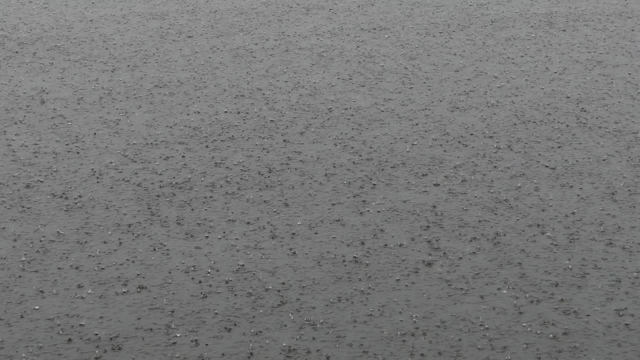 물 표면에 많은 비가 내리는