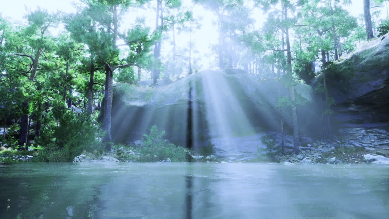 Sunlight streaming through trees over tranquil water in a forest setting