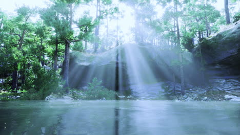 sunlight streaming through trees over tranquil water in a forest setting