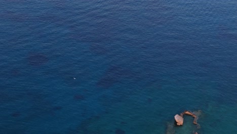 White-frigate-bird-soars-across-rocky-coastline-above-current-ripples-in-ocean-water-at-miday,-aerial-tracking