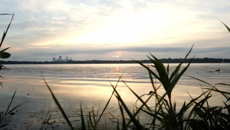 lapso de tiempo durante una mañana nublada junto al horizonte del lago del centro de minneapolis en el backgrand