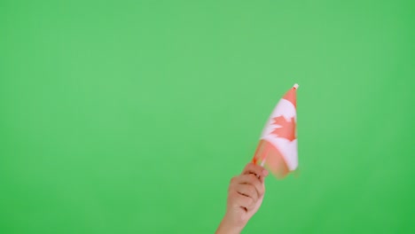 hand waving a pennant of a canadian national flag