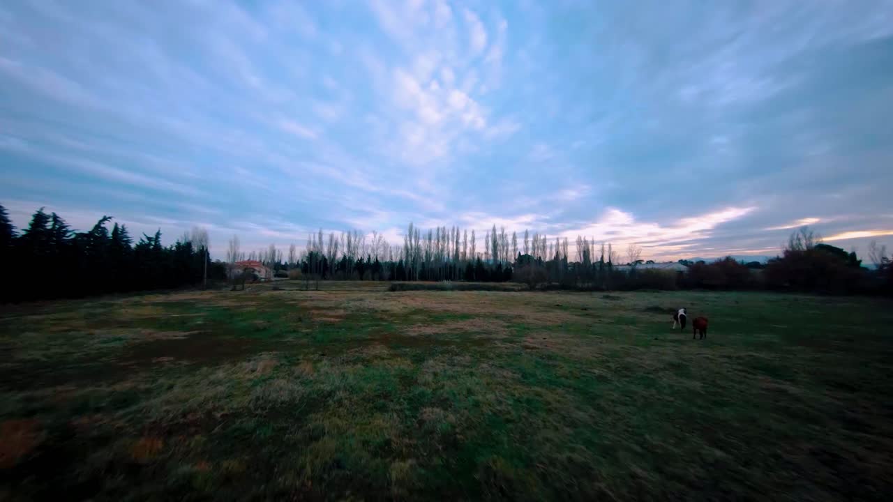 말들이 자유롭게 달리는 들판 주변을 촬영한 시네마틱 fpv 드론