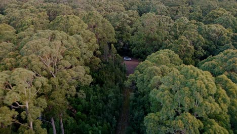 Vista-Aérea-Hacia-Atrás-Del-Denso-Bosque-En-Stormlea,-Tasmania-En-Un-Día-Claro