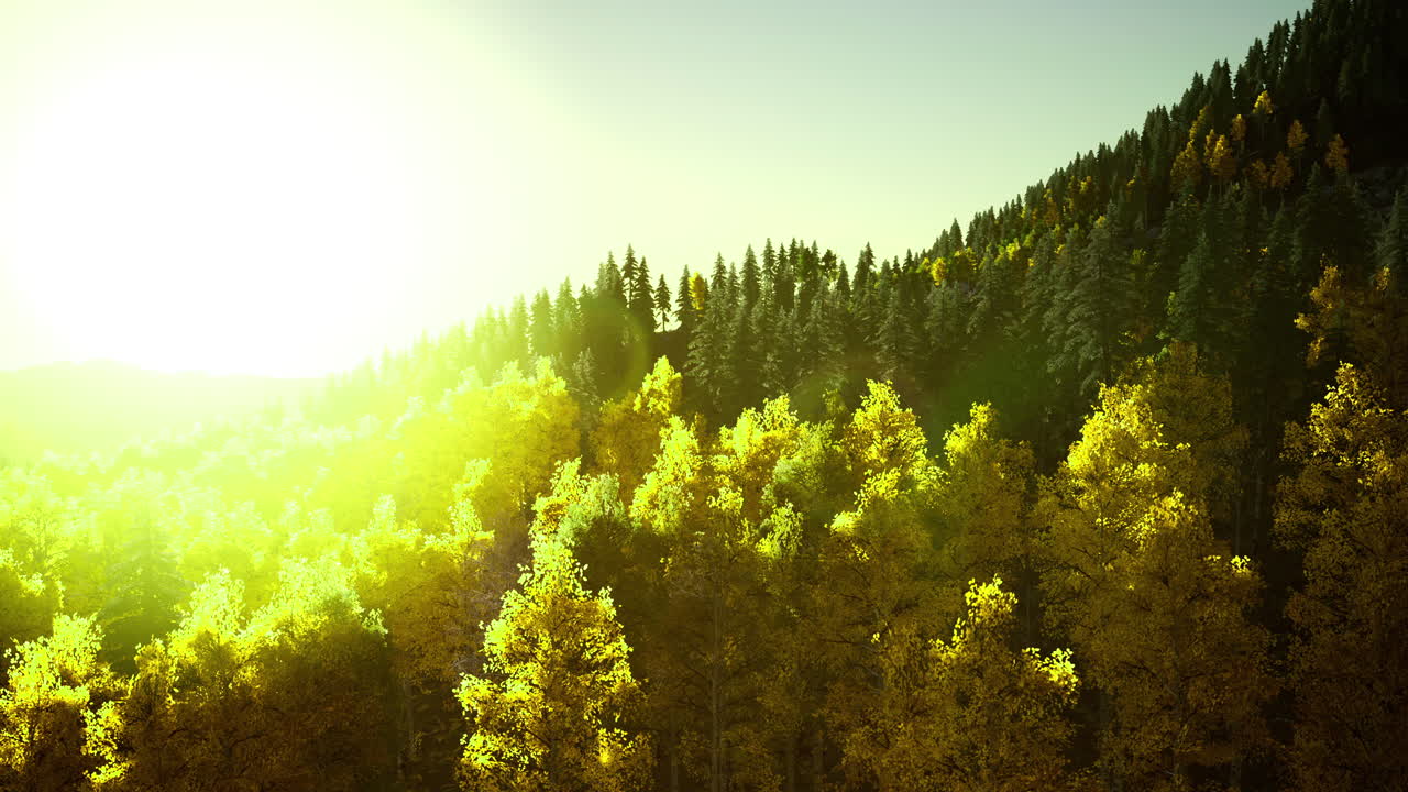 Beautiful golden sunlight over a serene forest landscape at dawn