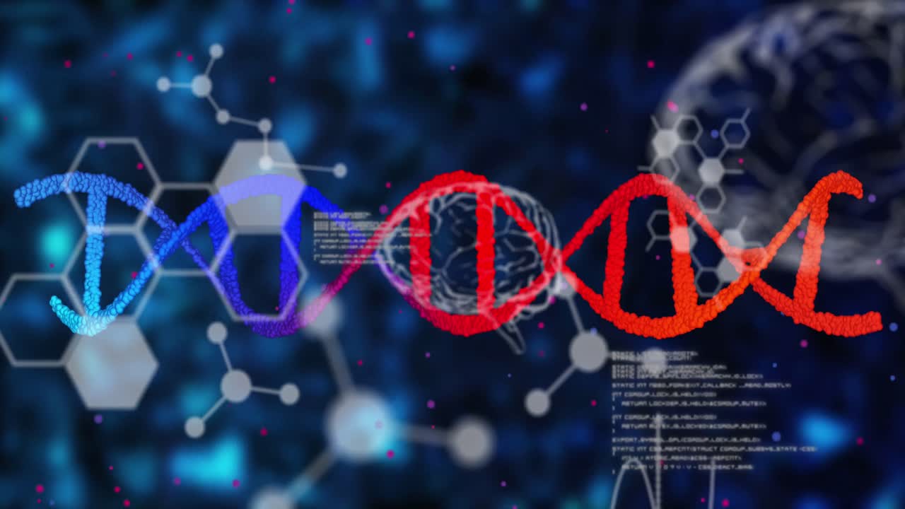 인간 뇌에 대한 데이터 처리와 함께 dna 가닥의 애니메이션