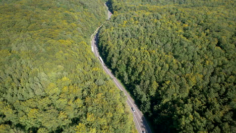 Toma-Aérea-Inclinada-Hacia-Arriba-Del-Tráfico-En-La-Carretera-Entre-Bosques-Densos