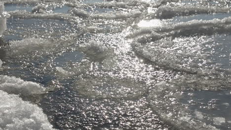 sparkling sun reflects off closeup ice pans floating in northern ocean