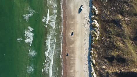 Vista-De-Pájaro-Sobre-La-Playa-En-La-Isla-Del-Padre,-Texas,-Ee.uu.---Toma-Aérea-De-Drones