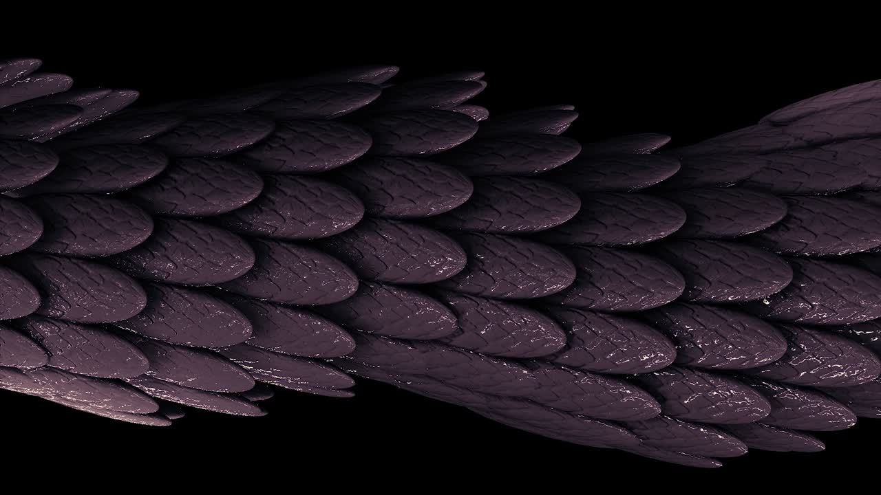 Abstract elegant purple moving tube of many feathers covered by sticky substance on black background, seamless loop. Animation. Many small oval shaped feathers