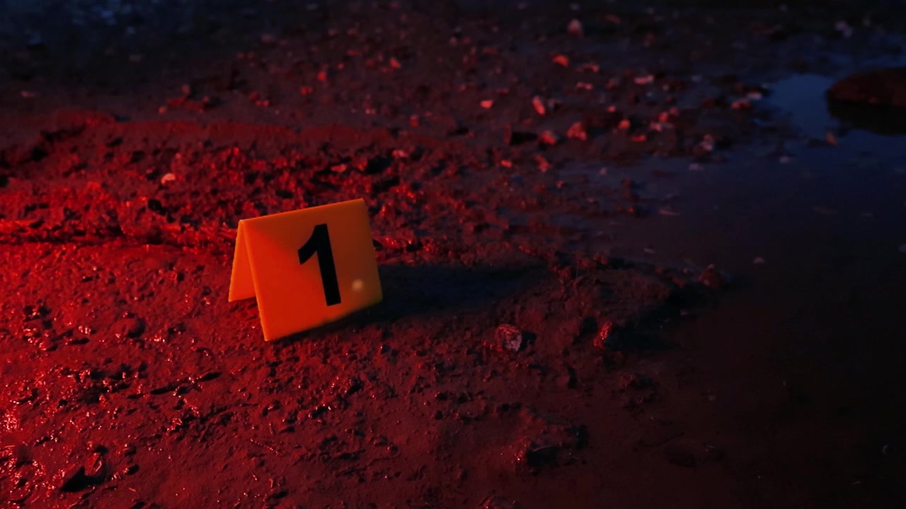 Evidence marker number one sitting on a muddy tire track next to a puddle at a crime scene at night, illuminated by flashing red and blue police lights from a law enforcement vehicle