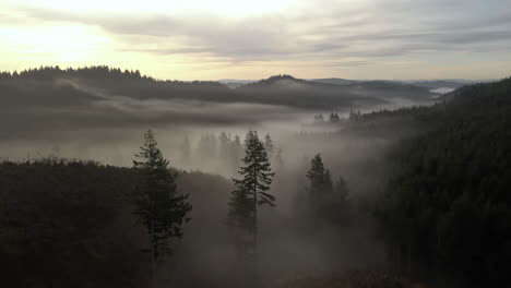 Drohne-Kreist-Bei-Sonnenaufgang-Um-Bäume-Im-Nebel-Am-Bergwald