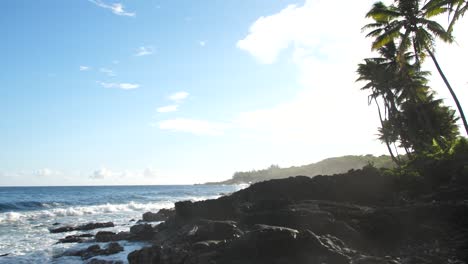 Tilt-down-from-tropical-palm-trees-to-beach-on-bright-sunny-day-in-Hawaii