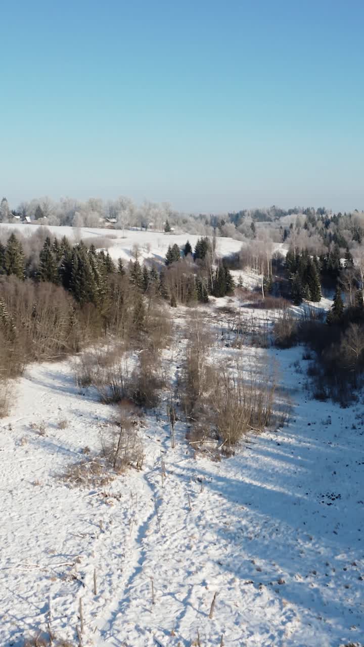 Vertical aerial view of scenic forest valley with meandering river creek flowing through snow covered landscape. Early morning hoar frost on the trees in sunny winter scenery.