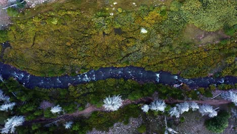 Drone-Aéreo-Vista-Superior-De-Pájaro-De-Un-Pequeño-Arroyo-En-El-Bosque-Nacional-De-Uinta-Alto-Entre-Utah-Y-Wyoming-En-Un-Sendero-Profundo-Para-Mochileros-Cerca-Del-Lago-Del-Castillo-Rojo-Inferior