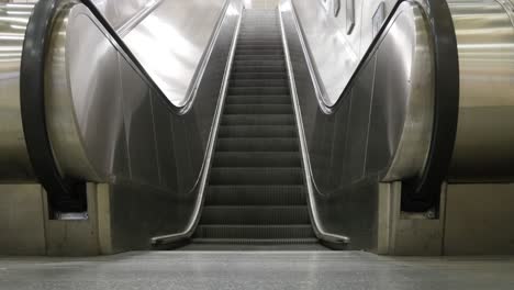 escalators going up and down (loop)