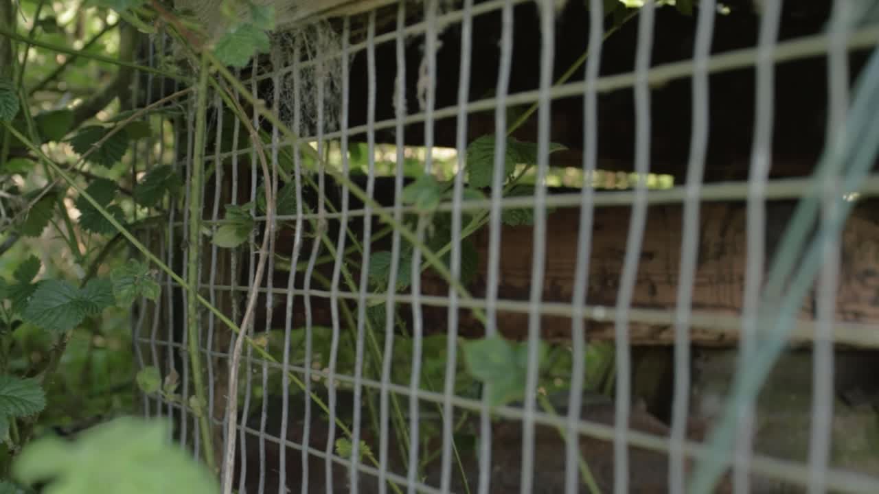 Old rickety wooden shed wire close up panning shot