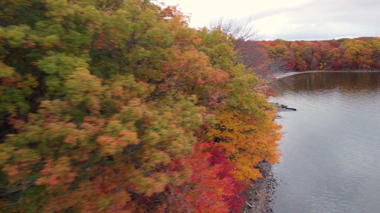 공중 | 활기찬 숲의 물가에 닿는 모래 해변