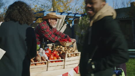 elderly woman buys fruits and vegetables elderly woman chooses plums at the stall with fruits and vegetables people walking and shopping on background local farmers market or fair outdoors vegetarian and organic food agriculture