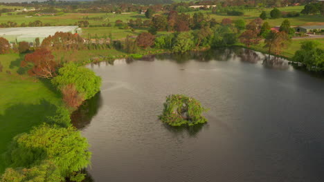 Aerial-view-gently-moving-forward,-revealing-bird's-nest-within-a-small-island-of-trees-in-the-lake