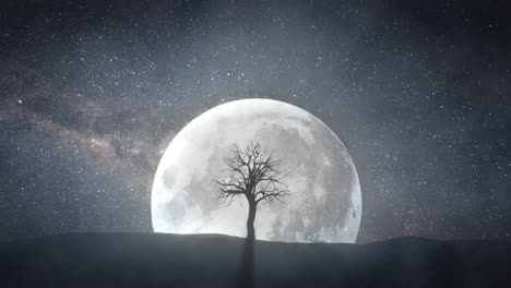 lonely tree under a full moon