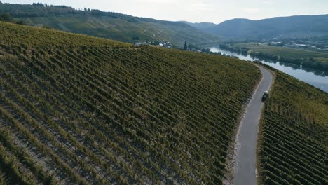 Aerial-flying-over-vineyard-hill-revealing-panoramic-landscape-with-mountains,-town-and-river-nearby---drone-shot