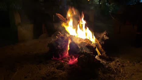 un fuego de campamento brillante al anochecer proporciona comodidad y luz para apreciar la naturaleza por la noche, disparo de cerca