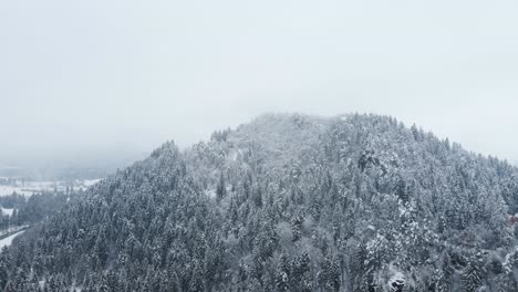 Wald-Von-Oben-Nach-Einem-Schneesturm-Mit-Niedrigen-Wolken-Und-Schneebedeckter-Natur-Im-Winter