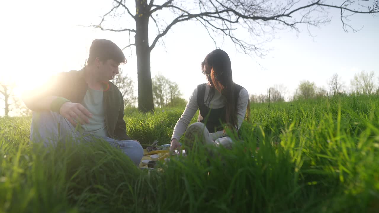 공원 에서 피크닉 을 즐기는 부부