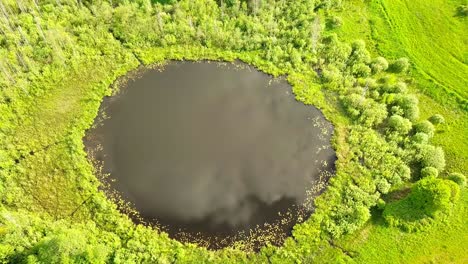aerial flight from top bottom over an small lake with perfectly round shape.