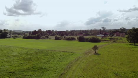 imágenes aéreas sobre un pueblo verde, árboles altos y un hermoso paisaje en el este de polonia