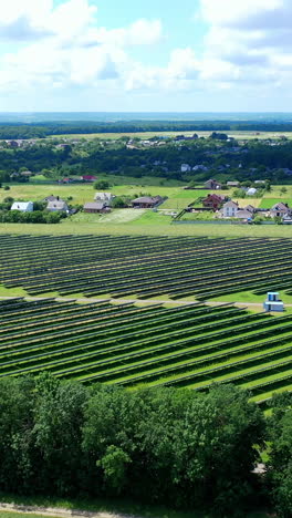 view from the drone of the solar power plant in summer. innovative solar batteries on the field. production of clean energy. ecology concept vertical video