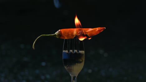 burning hot red chili pepper on a fork in flames on a black background