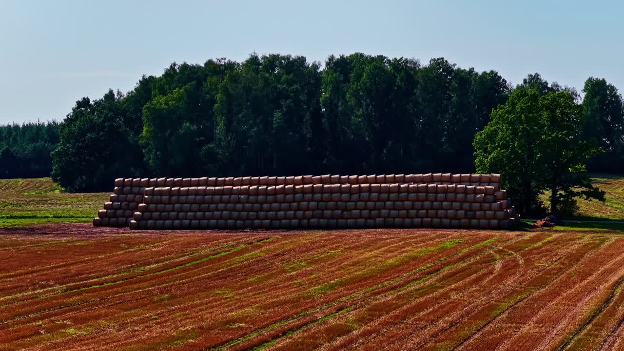 Large stack of round hay bales in a harvested field under summer sun