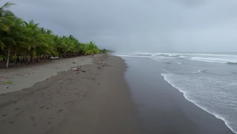 Levantamiento-Aéreo-Sobre-Una-Joven-Morena-Caminando-Cerca-De-Una-Densa-Jungla-En-La-Playa-De-Dominicalito-En-Un-Día-Nublado,-Costa-Rica