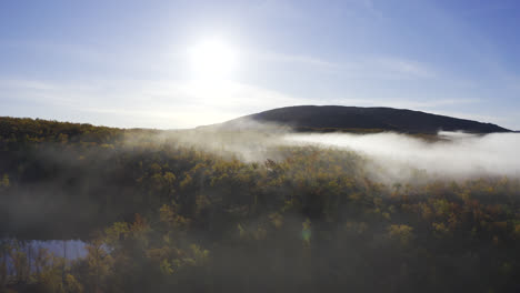 Aerial-view-of-flying-close-to-autumn-coloured-forest-with-mist-on-a-sunny-day