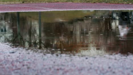 Charco-Lluvioso-Reflejo-De-Ciclista-En-El-Suburbio-Gris-De-Berlín-Oriental,-Alemania