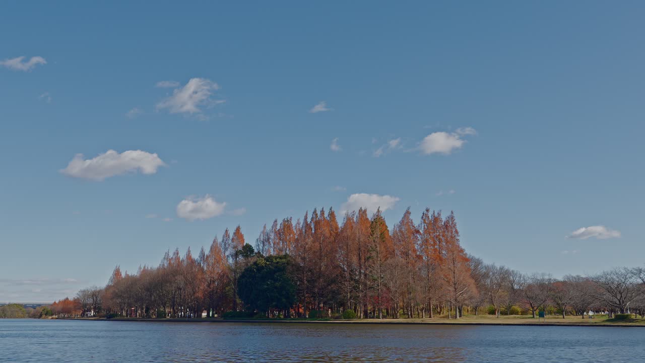 A serene landscape of Mizumoto Park, Tokyo, showing a grove of rust-colored autumn trees appearing like an island on the vast, calm pond